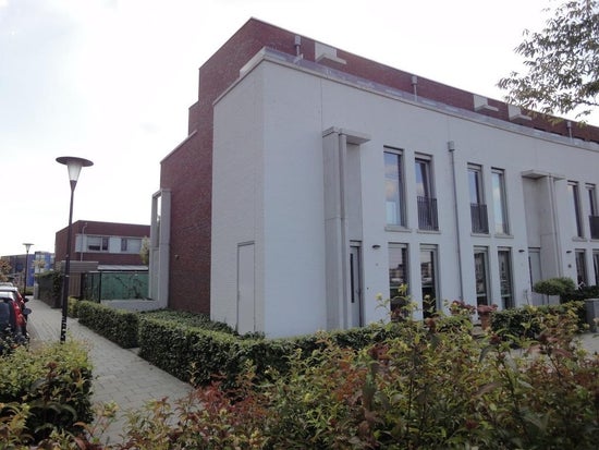 Eekhoorn