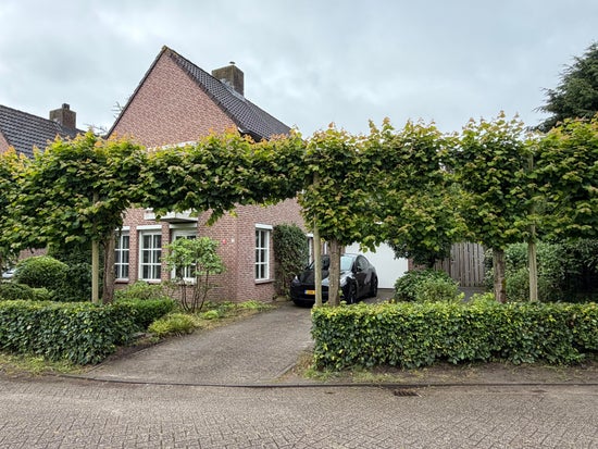 free-sector-houses for rent on Vrouwkensakker